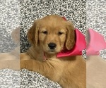 Small #4 Breeder Profile image