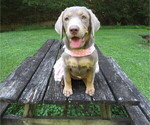Small #4 Breeder Profile image