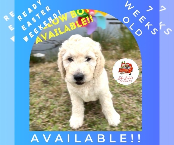 Medium Photo #10  Breeder Profile in HAMPSTEAD, NC, USA