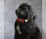 Small #5 Breeder Profile image