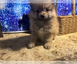 Small #6 Breeder Profile image