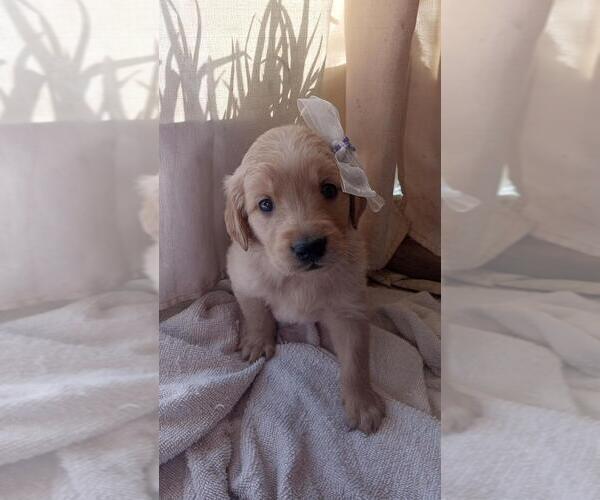 Medium Photo #10  Breeder Profile in BROOKSVILLE, KY, USA