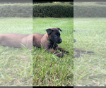Small #5 Breeder Profile image