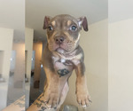 Small #4 Breeder Profile image