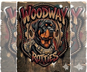 Rottweiler Dog Breeder near SAN JOSE, CA, USA