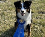 Small #18 Breeder Profile image