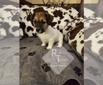 Small #22 Breeder Profile image