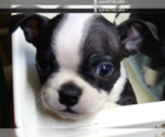 Small #8 Breeder Profile image