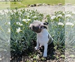 Small #6 Breeder Profile image