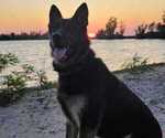 Small #2 Breeder Profile image