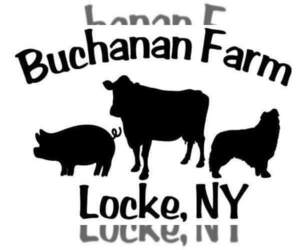 Border Collie Dog Breeder near LOCKE, NY, USA