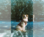 Small #3 Breeder Profile image