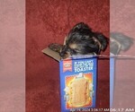 Small #171 Breeder Profile image