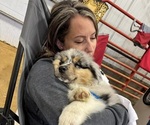 Small #39 Breeder Profile image