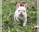 Small #3 Breeder Profile image