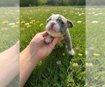Small #5 Breeder Profile image