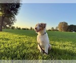 Small #9 Breeder Profile image