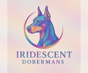 Medium Breeder Profile Photo