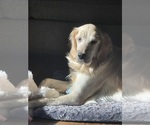 Small #6 Breeder Profile image