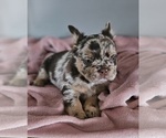 Small #15 Breeder Profile image