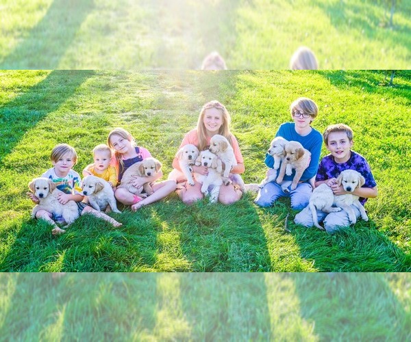 Medium Photo #13  Breeder Profile in OTTUMWA, IA, USA