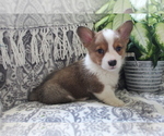 Small #2 Breeder Profile image
