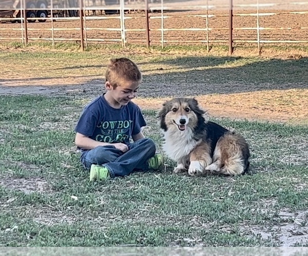Medium Photo #1  Breeder Profile in AMES, OK, USA