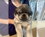 Small #25 Breeder Profile image