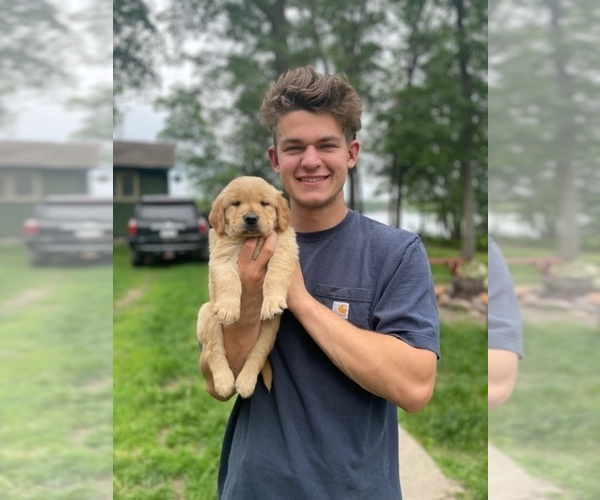 Medium Photo #1  Breeder Profile in BAXTER, MN, USA