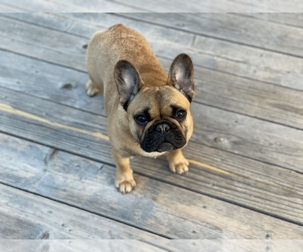 Medium Photo #35  Breeder Profile in KALISPELL, MT, USA