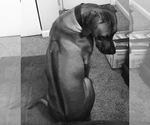 Small #65 Breeder Profile image