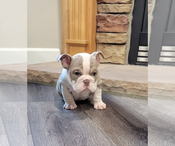 Medium Photo #1  Breeder Profile in PASCO, WA, USA