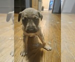 Small #1 Breeder Profile image