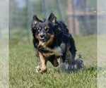 Small #4 Breeder Profile image