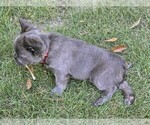 Small #6 Breeder Profile image