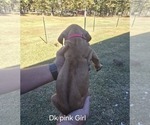 Small Photo #39  Breeder Profile in ALBA, TX, USA