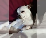 Small #1 Breeder Profile image