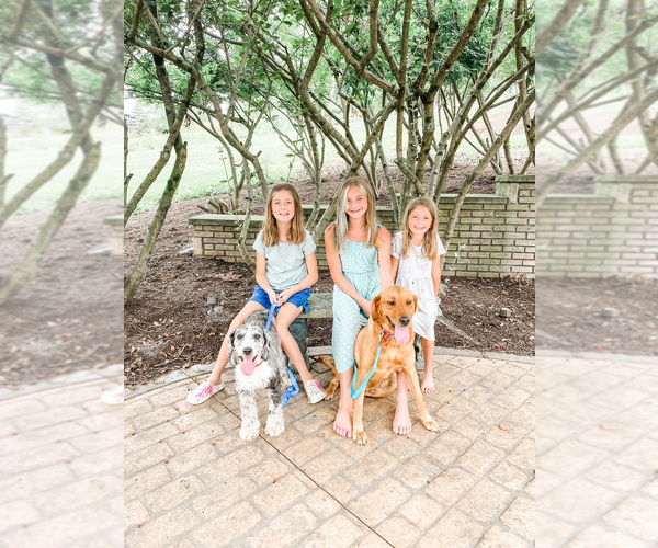 Medium Photo #1  Breeder Profile in MILLERSBURG, OH, USA
