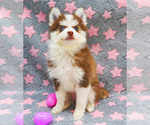 Small #3 Breeder Profile image