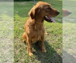 Small #12 Breeder Profile image