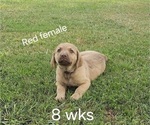 Small #9 Breeder Profile image