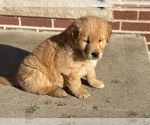 Small #4 Breeder Profile image