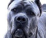 Small #16 Breeder Profile image