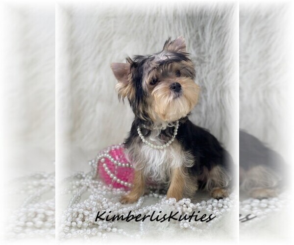 Medium Photo #13  Breeder Profile in LIPAN, TX, USA