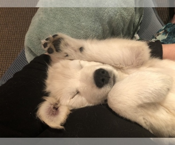 Medium Photo #2  Breeder Profile in COLVILLE, WA, USA