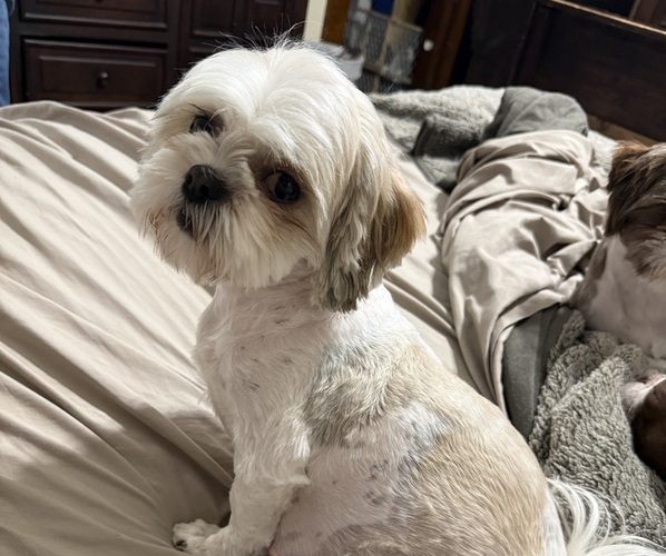 Medium Photo #10  Breeder Profile in COUNCIL GROVE, KS, USA