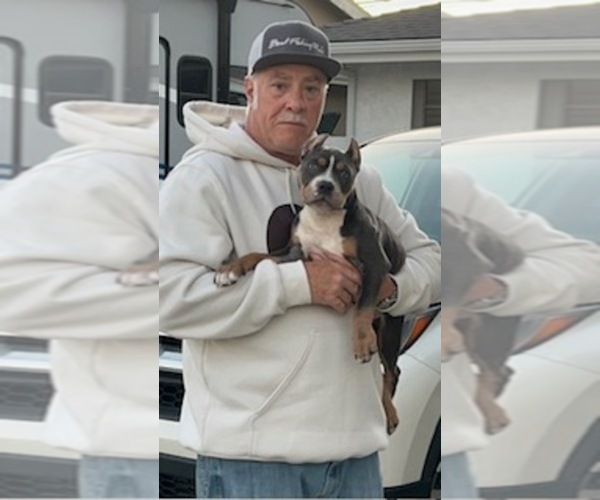Medium Photo #4  Breeder Profile in GARDEN GROVE, CA, USA