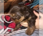 Small #23 Breeder Profile image