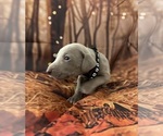 Small #10 Breeder Profile image