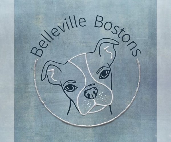 Medium Photo #1  Breeder Profile in BELLEVILLE, IL, USA